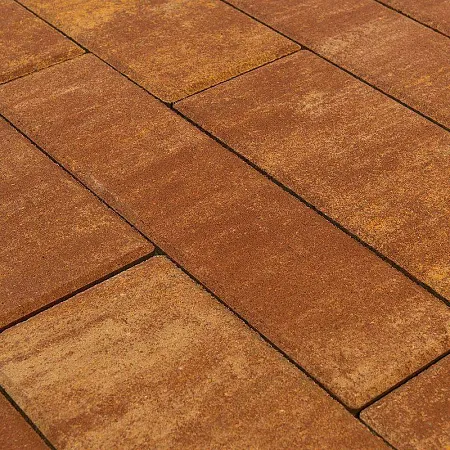 Плитка тротуарная Браер Домино колормикс Каньон h=60мм