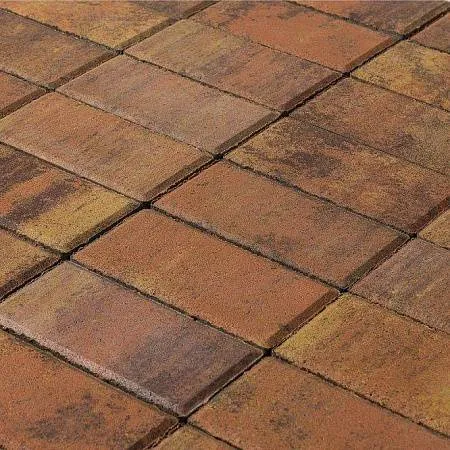 Плитка тротуарная Браер Прямоугольник колормикс Прайд h=40мм